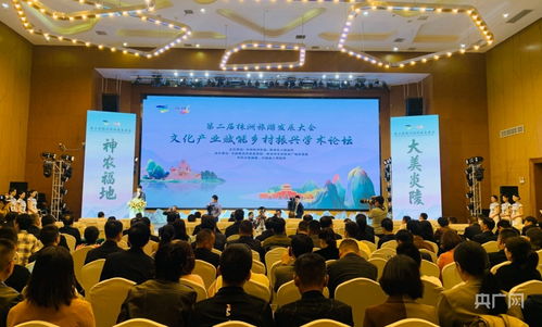 文化產業賦能鄉村振興學術論壇 舉辦 央廣網